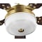 Progress Lighting Tempt Collection 52" Five Blade Ceiling Fan P2578-16330K - alternate 4